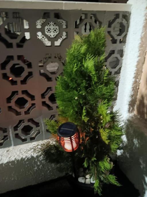 Cozy Bungalow In Urb La Marina With Shared Pool San Fulgencio Bagian luar foto